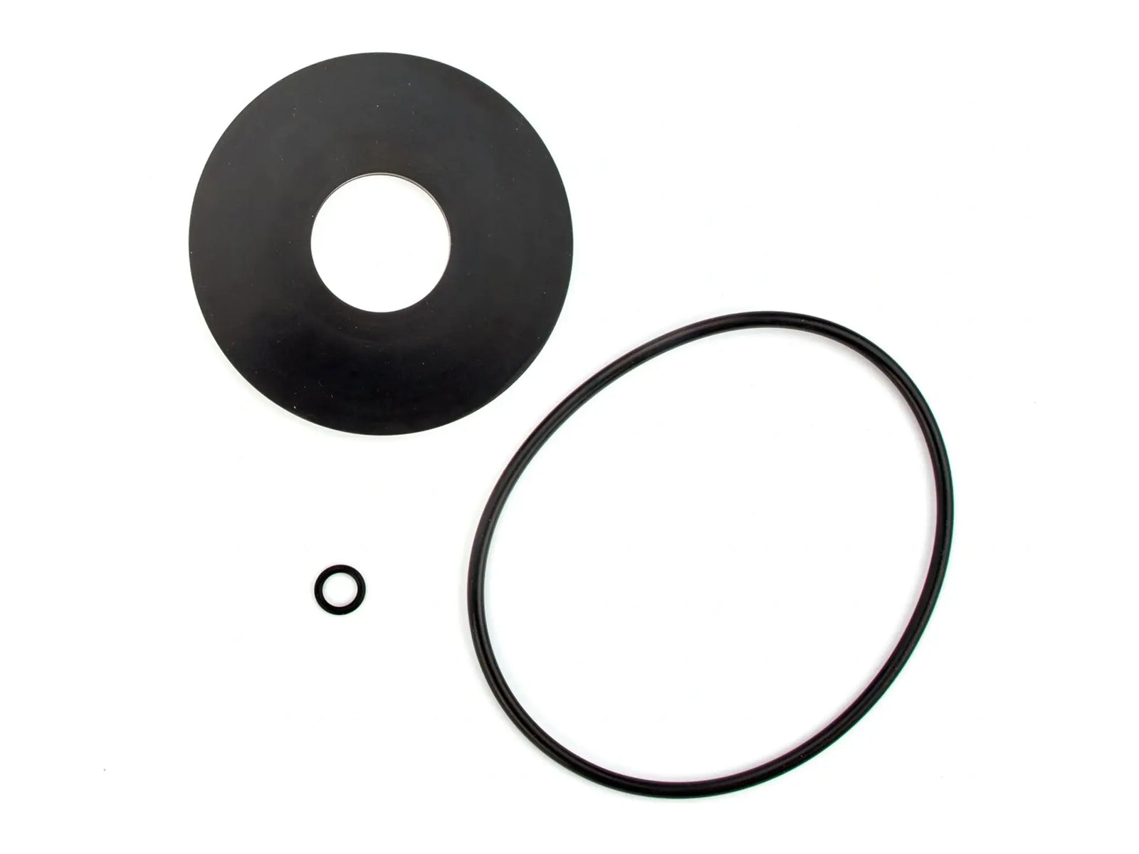 Watts 0888043, RK 993-RC2 Series Repair Kit