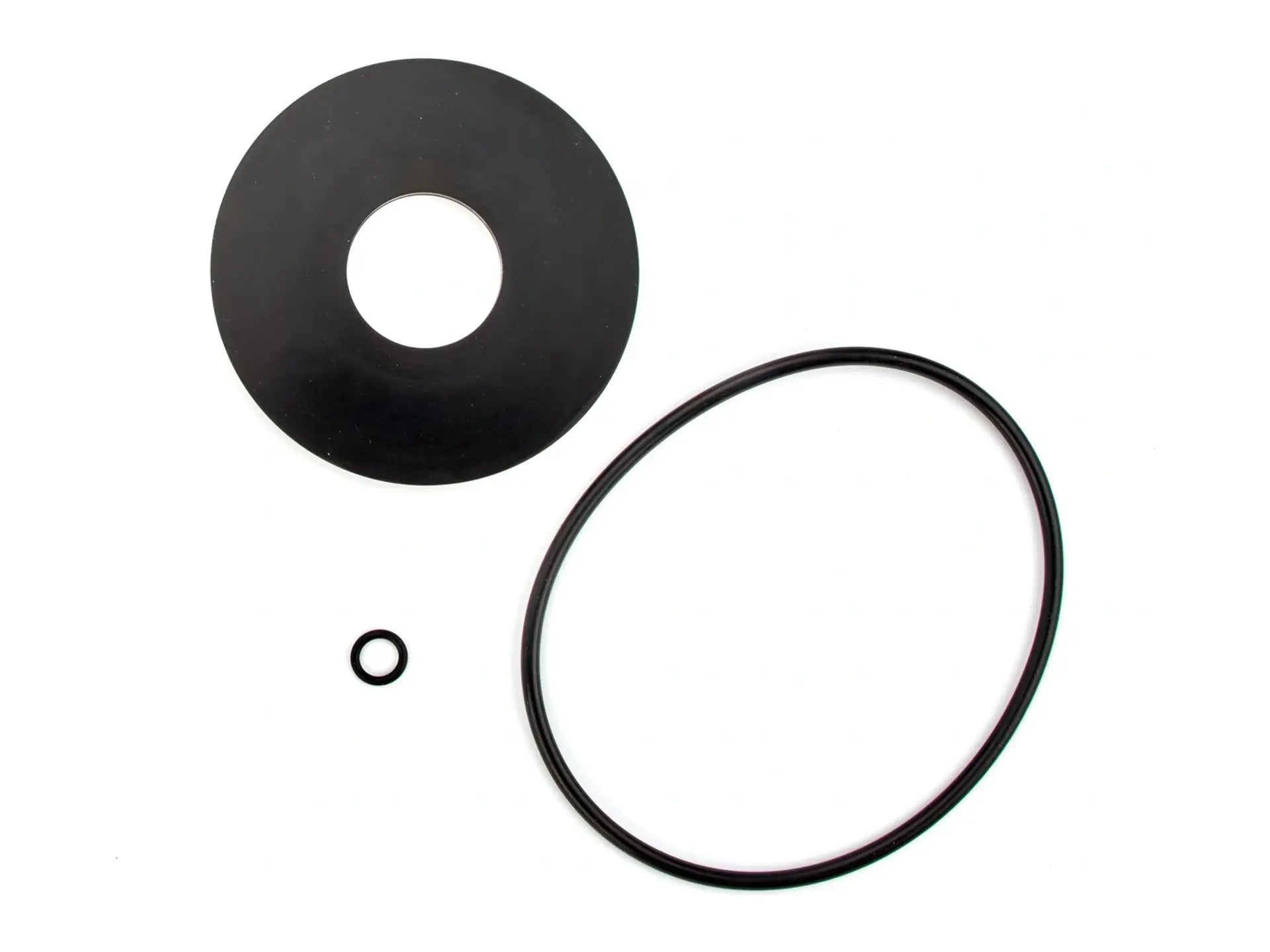 Watts 0888043, RK 993-RC2 Series Repair Kit