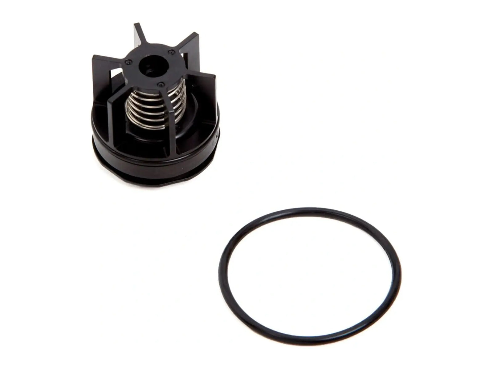 Watts 0888071, Second Check Kit