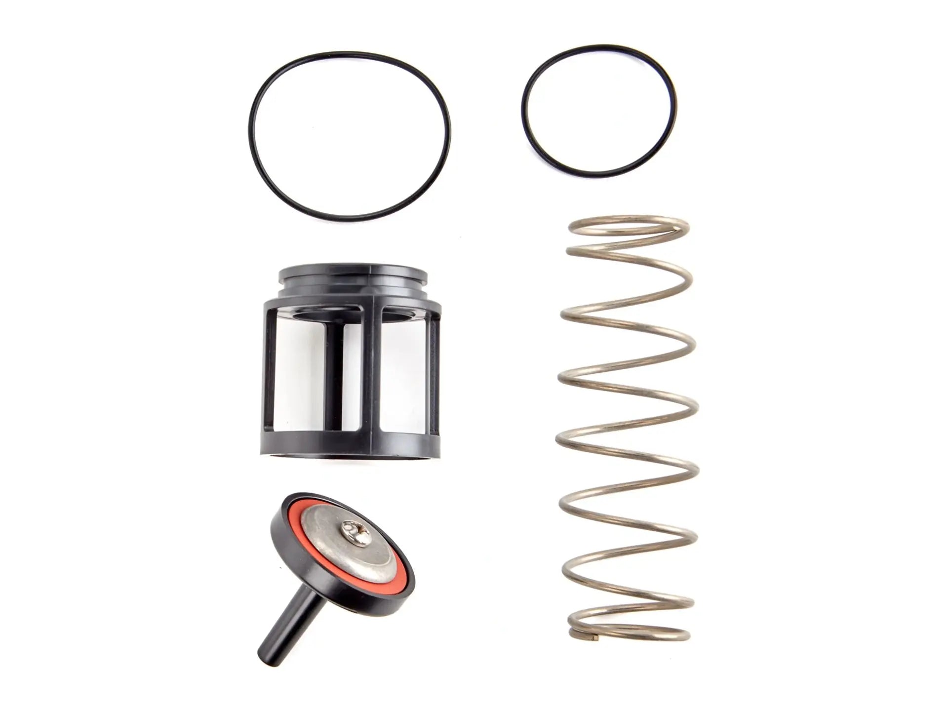 Watts 0888113, RK 919 CK1 First Check Kit