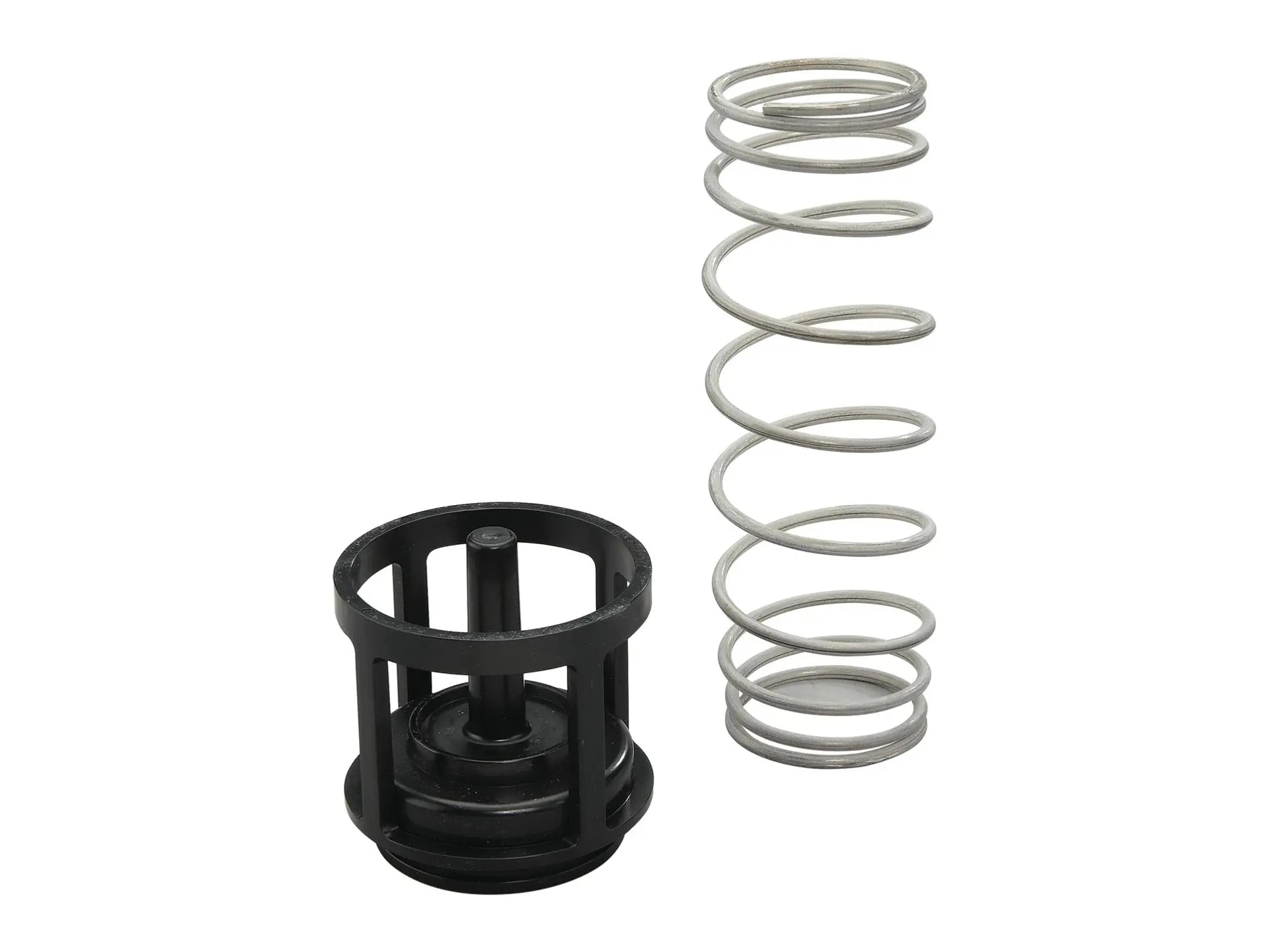 Watts 0888114, RK 919 CK1 First Check Kit