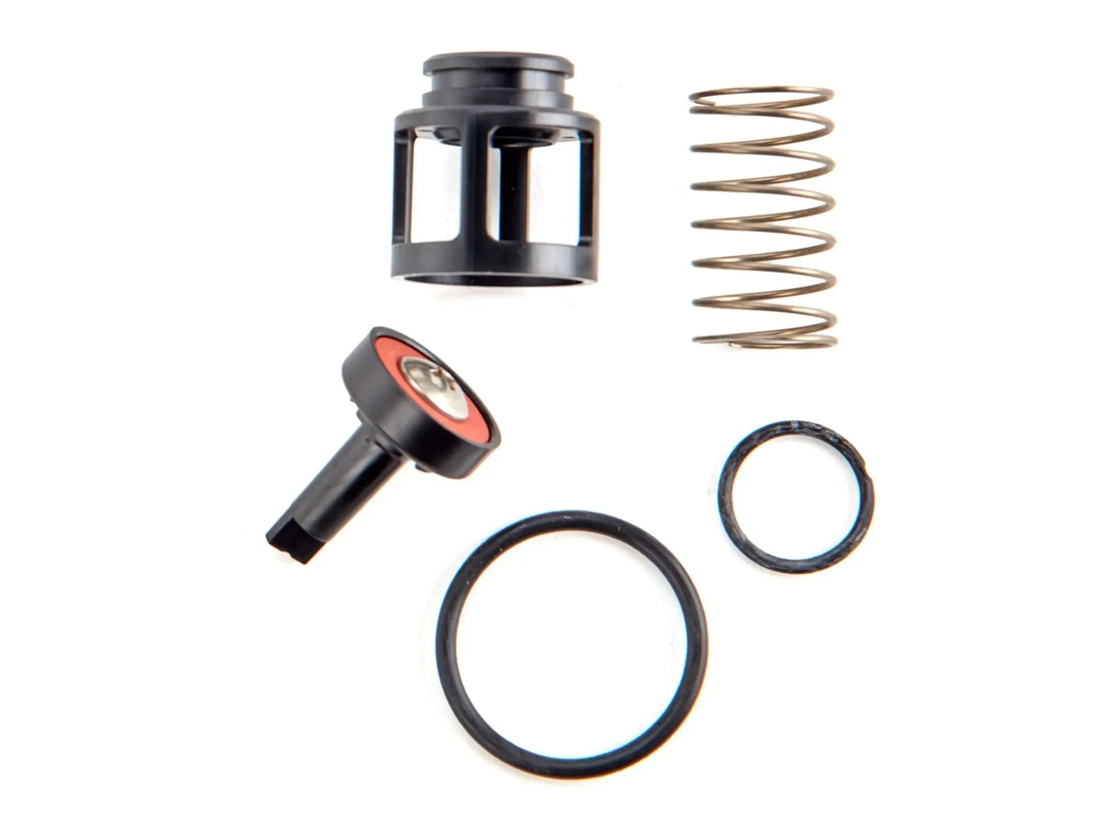 Watts 0888115, RK 919 CK2 Second Check Kit