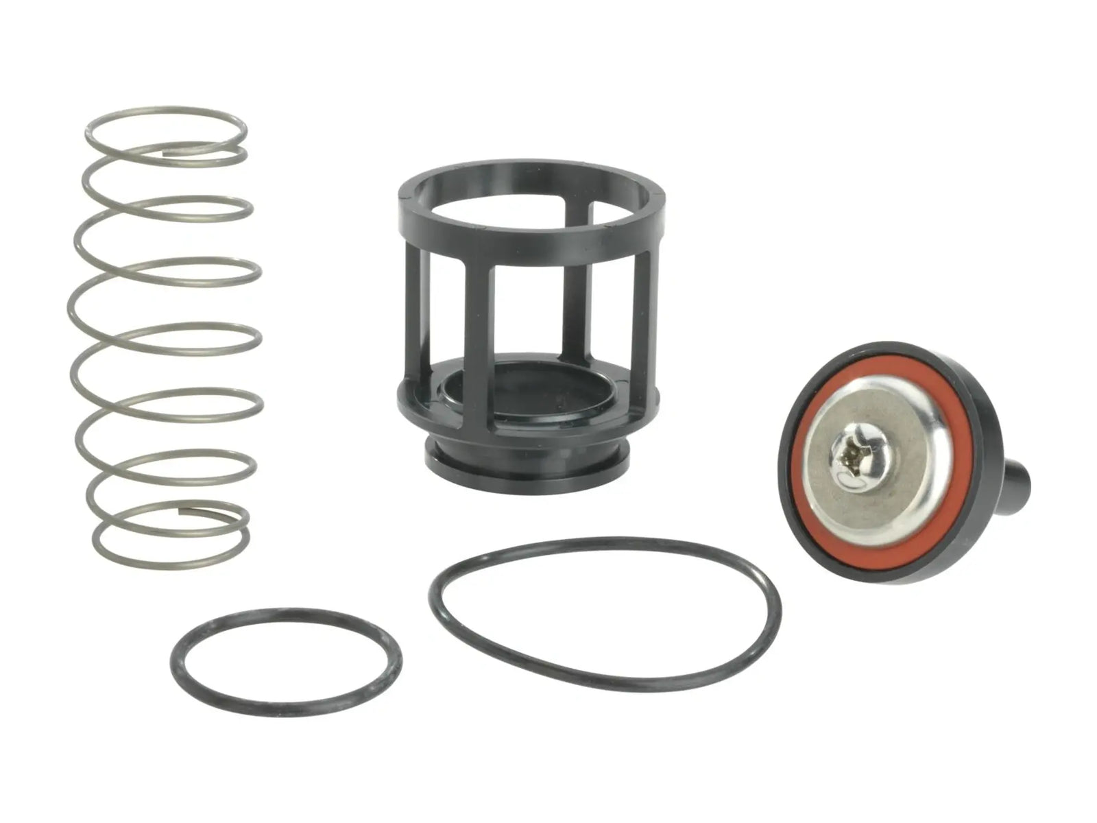 Watts 0888117, RK 919-CK2 1 Repair Kit