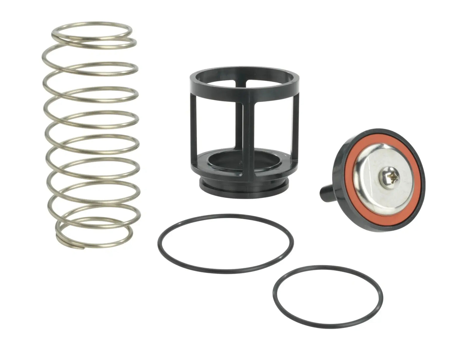 Watts 0888118, RK 919 CK2 Second Check Kit