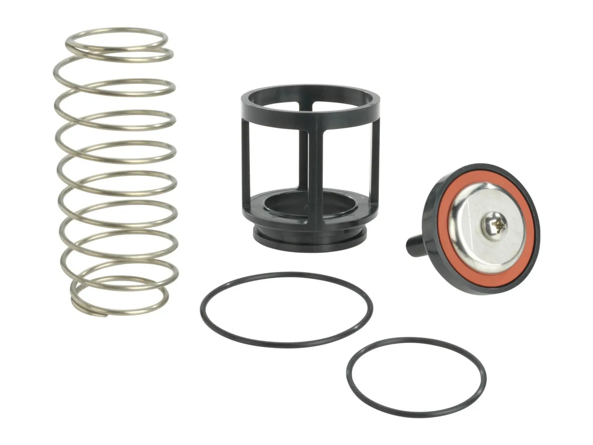 Watts 0888118, RK 919 CK2 Second Check Kit