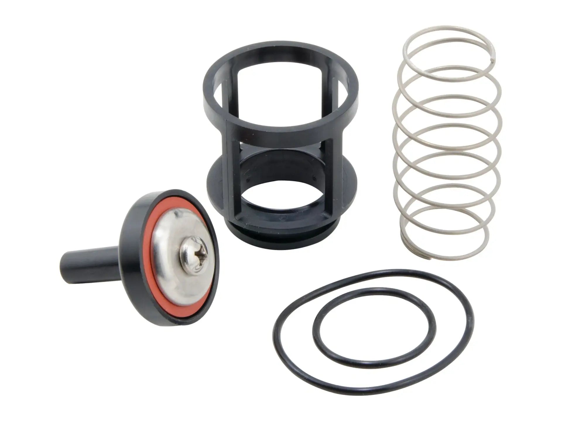 Watts 0888119, RK 919 CK2 Second Check Kit