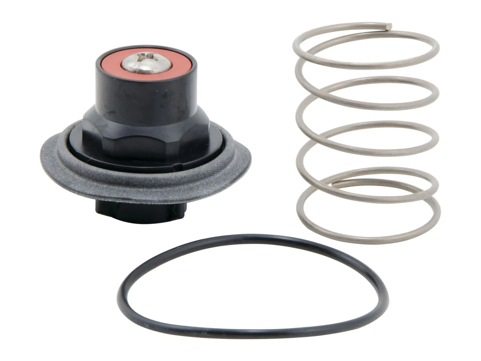 Watts 0888130, RK 919 VT Total Relief Valve Kit