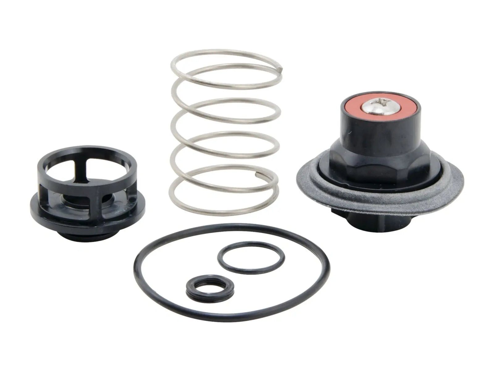 Watts 0888131, RK 919 VT Total Relief Valve Kit