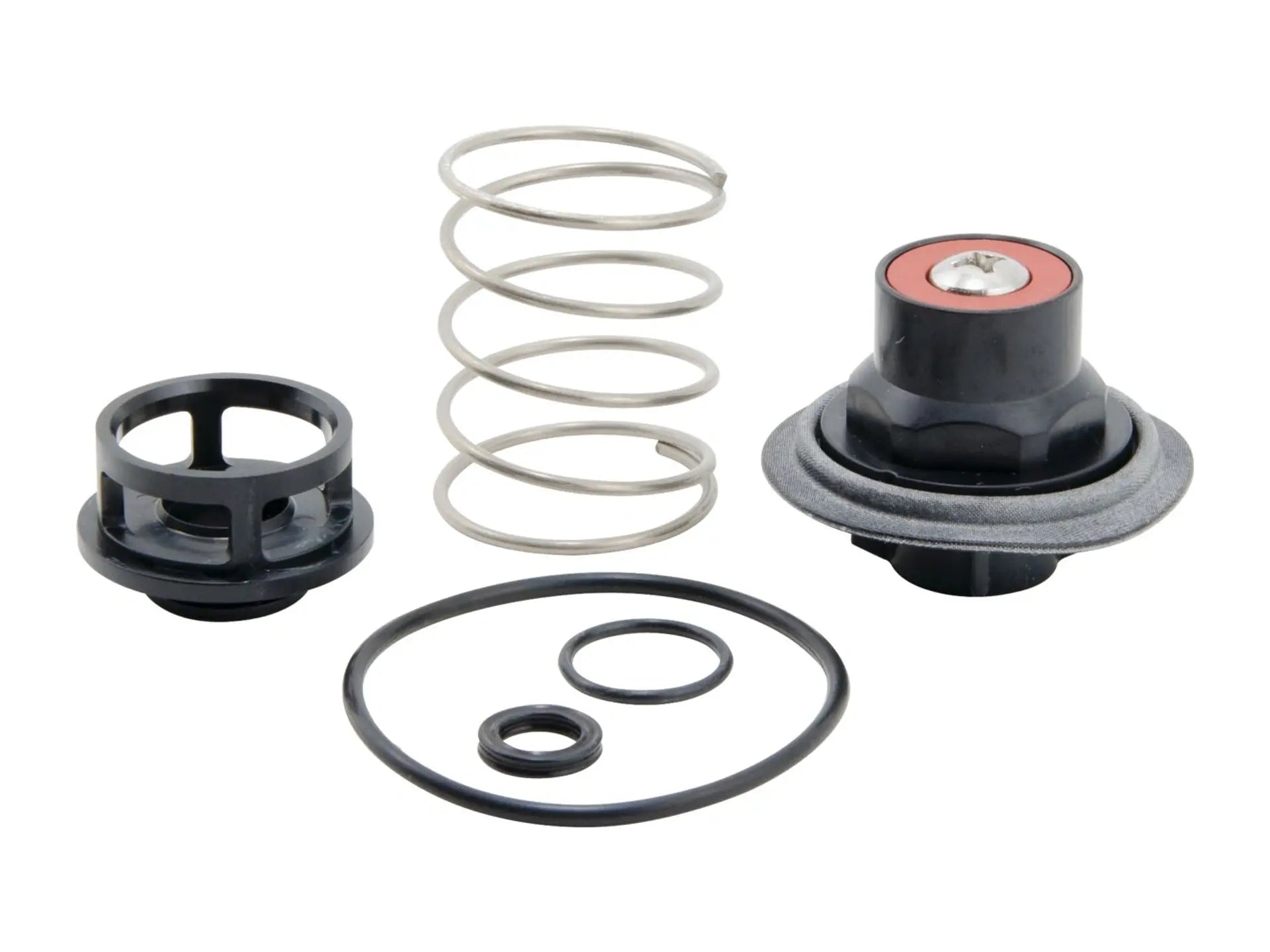 Watts 0888131, RK 919 VT Total Relief Valve Kit