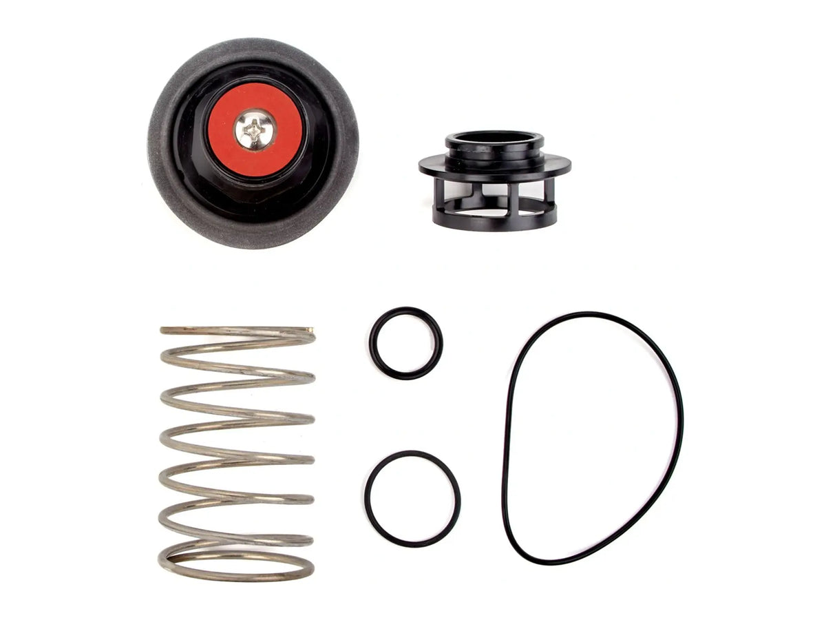 Watts 0888132, RK 919 VT Total Relief Valve Kit