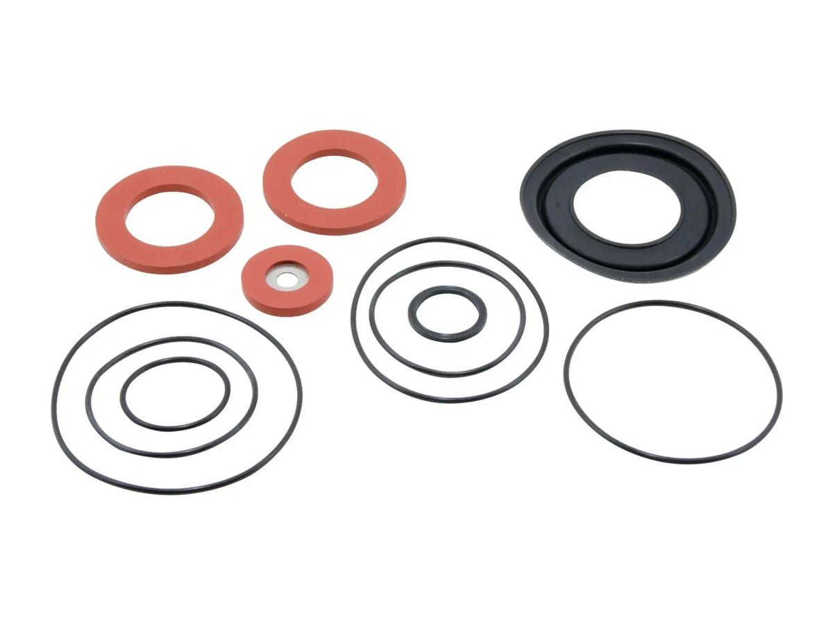 Watts 0888144, RK 919-RT 2 Repair Kit