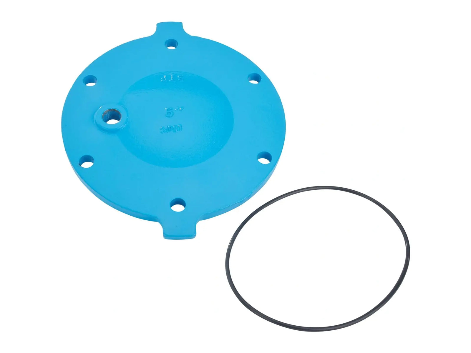 Watts 0888431, RK 773-C 6 Double Check Valve Cover Repair Kit
