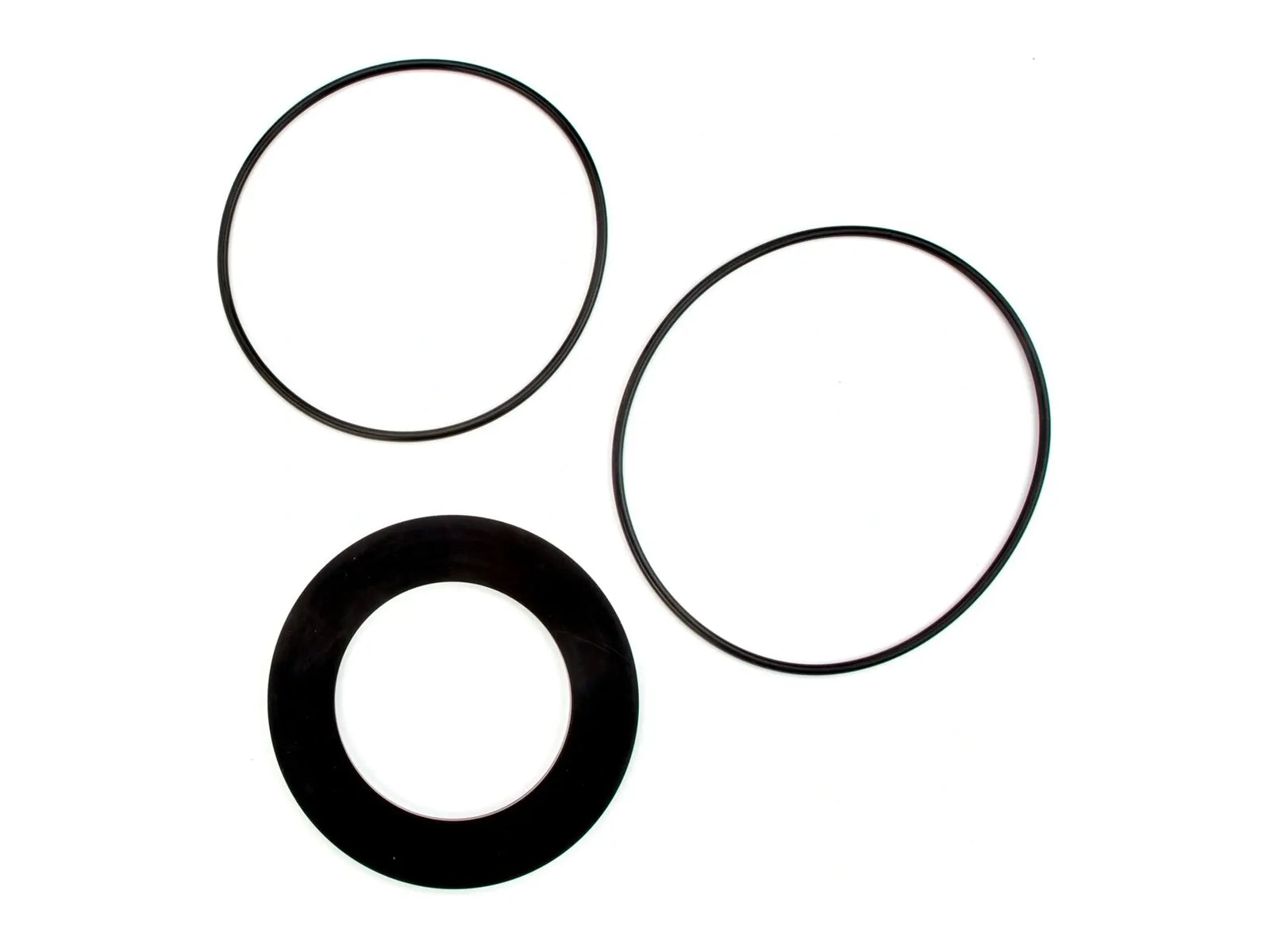 Watts 0888434, RK 773DCDA-RC4 Repair Kit