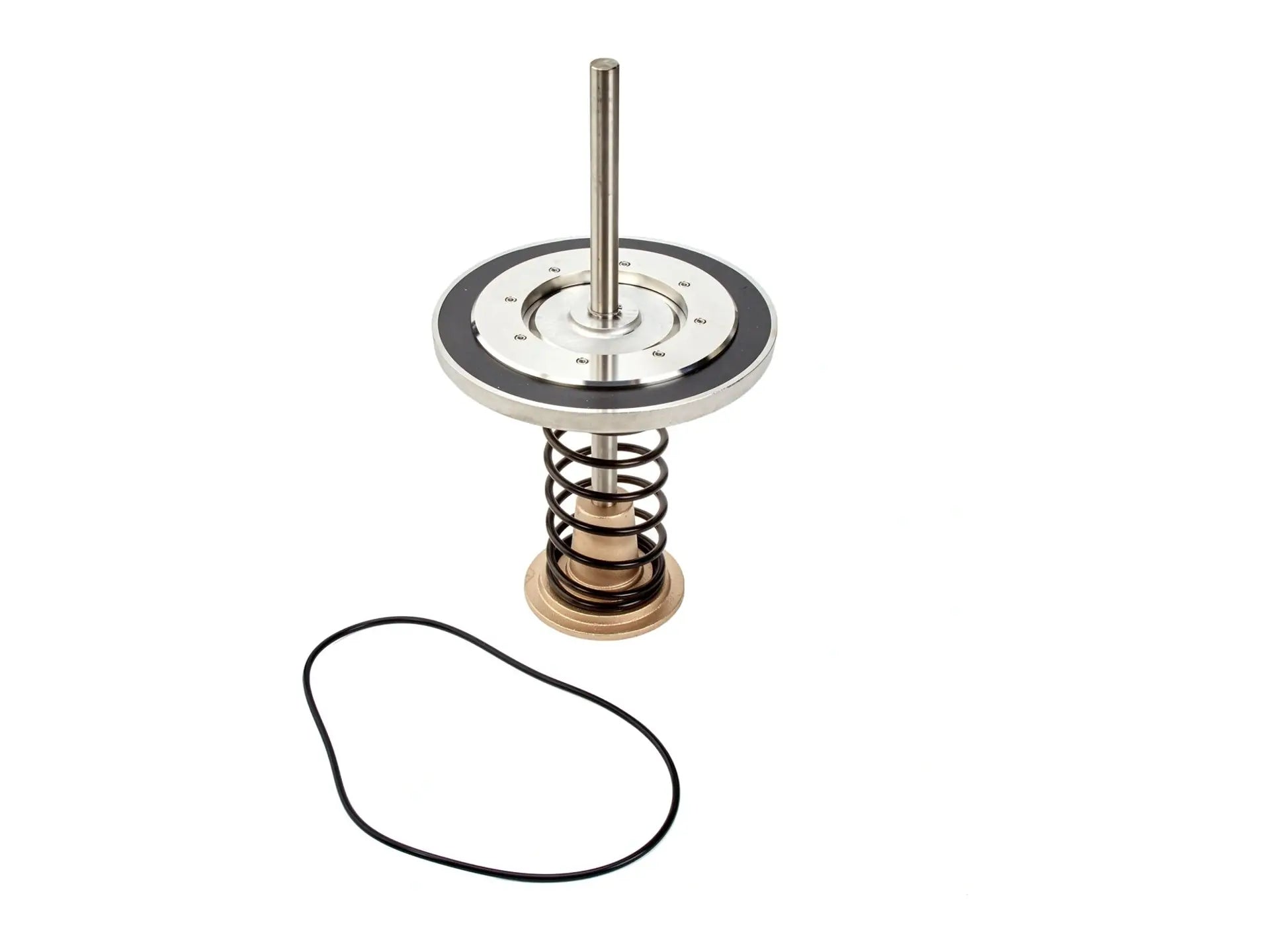 Watts 0888500, RK 993-CK1 Series Repair Kit