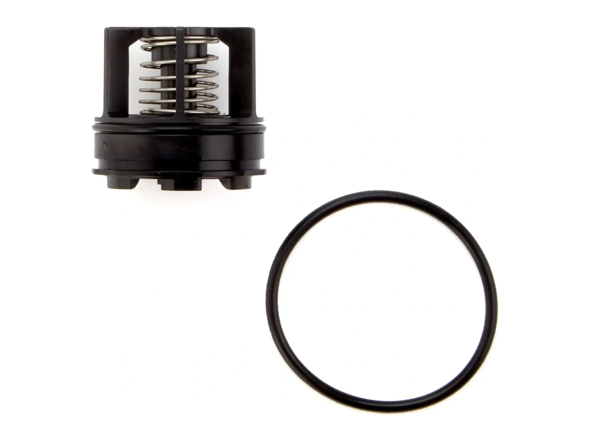 Watts 0888551, 007 3/4" Second Check Repair Kit