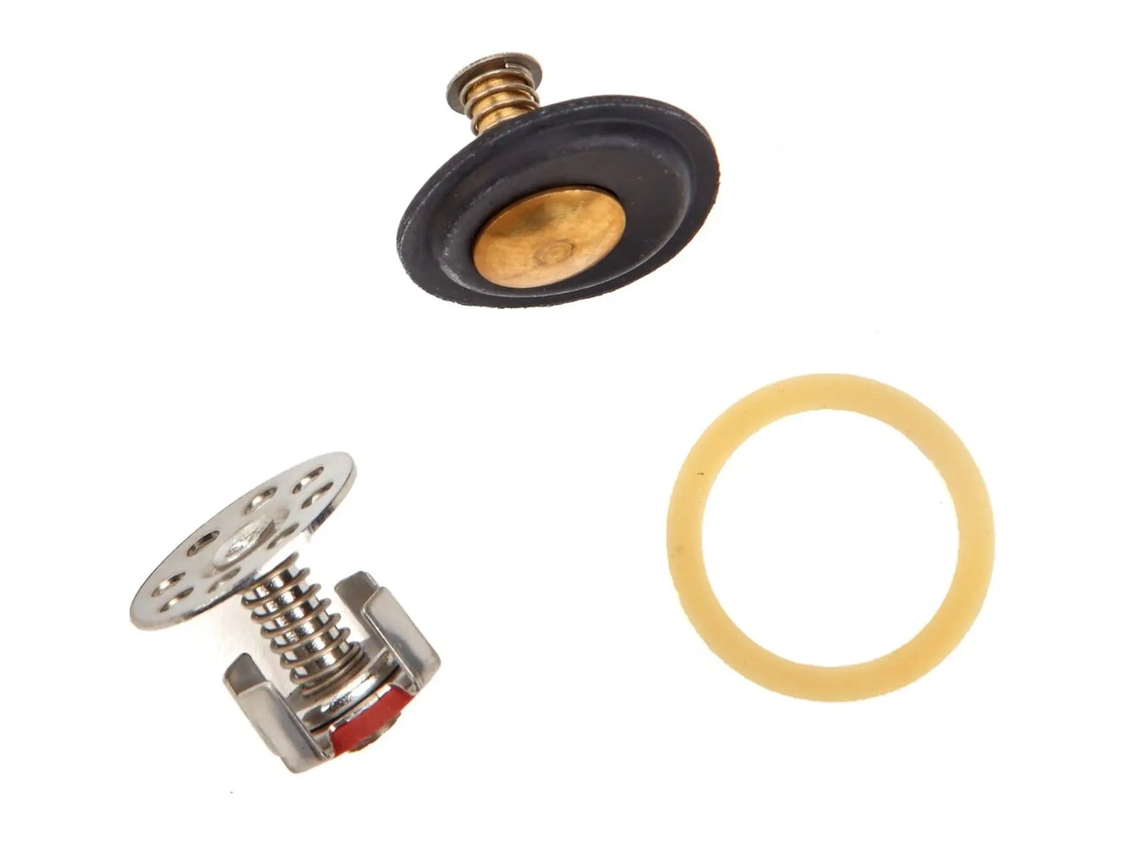 Watts 0888556, Rebuild Kit for SD-3 3/8"