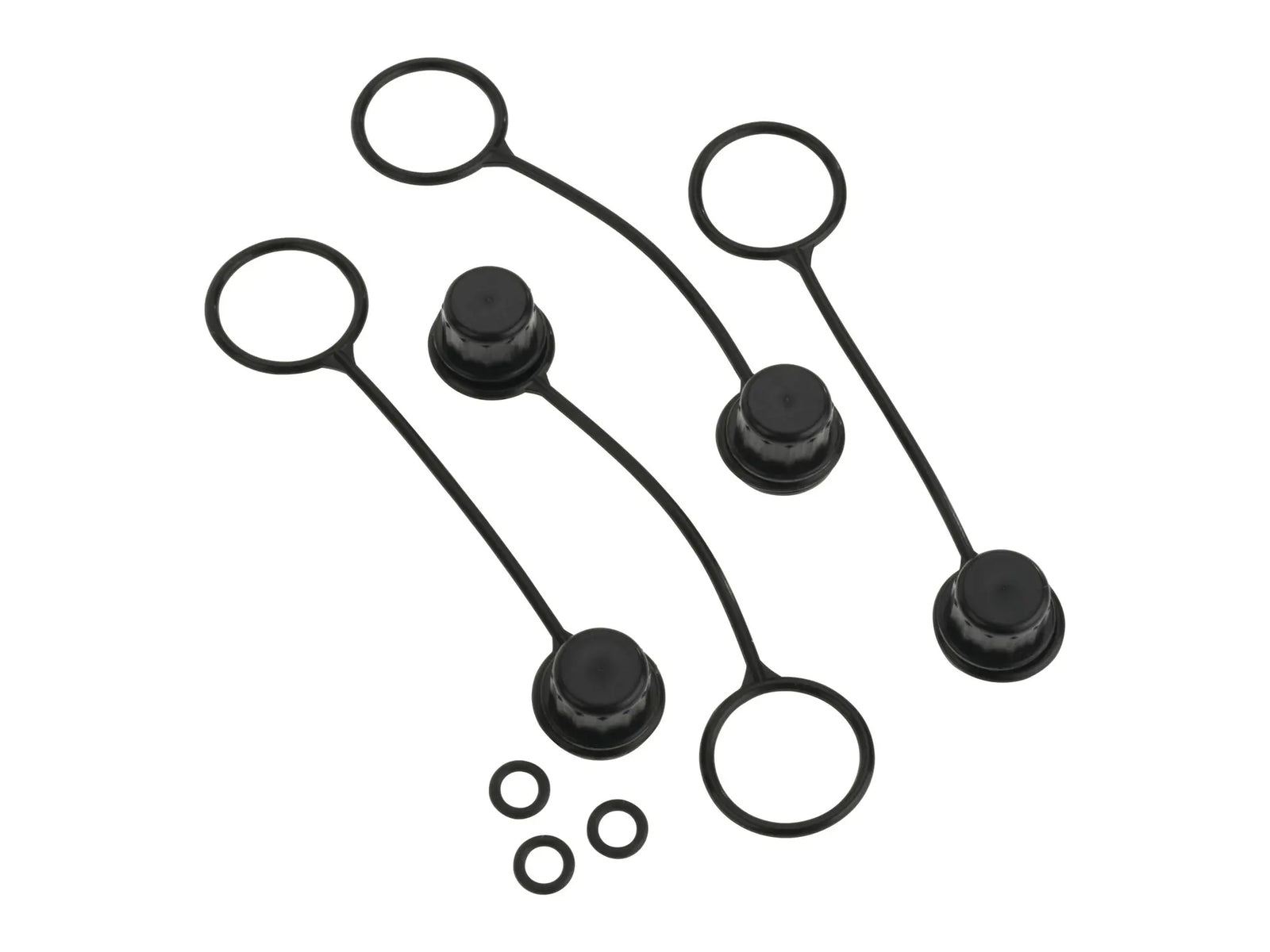 Watts 0888847, RK SAE-TC-P Plastic Cap for Sae Test Cock