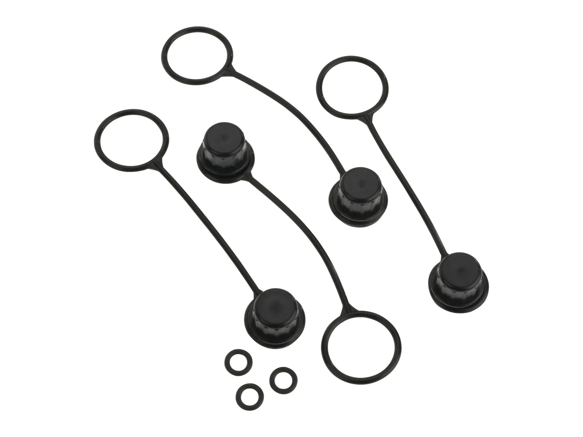 Watts 0888847, RK SAE-TC-P Plastic Cap for Sae Test Cock