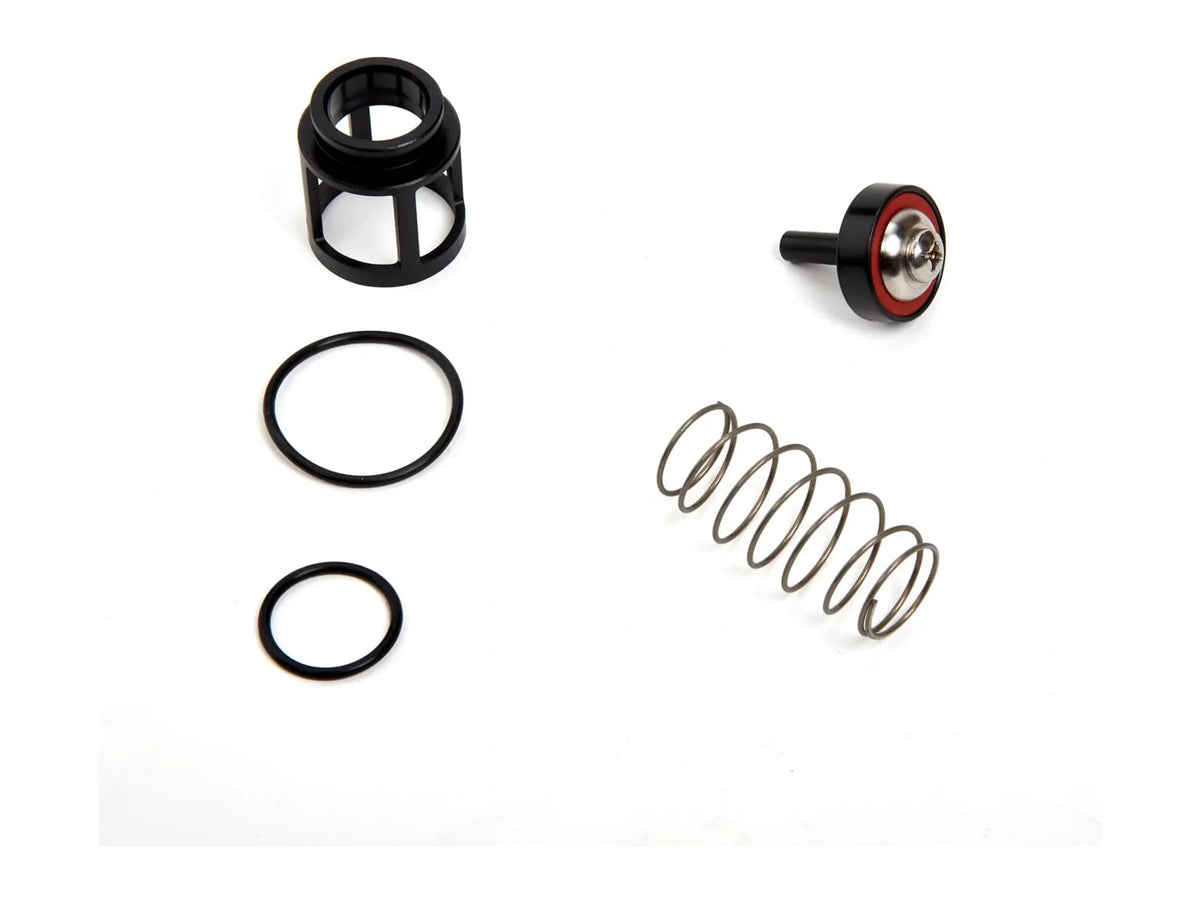Watts 0889061, RK 719-CK4 Valve Kit 3/4"