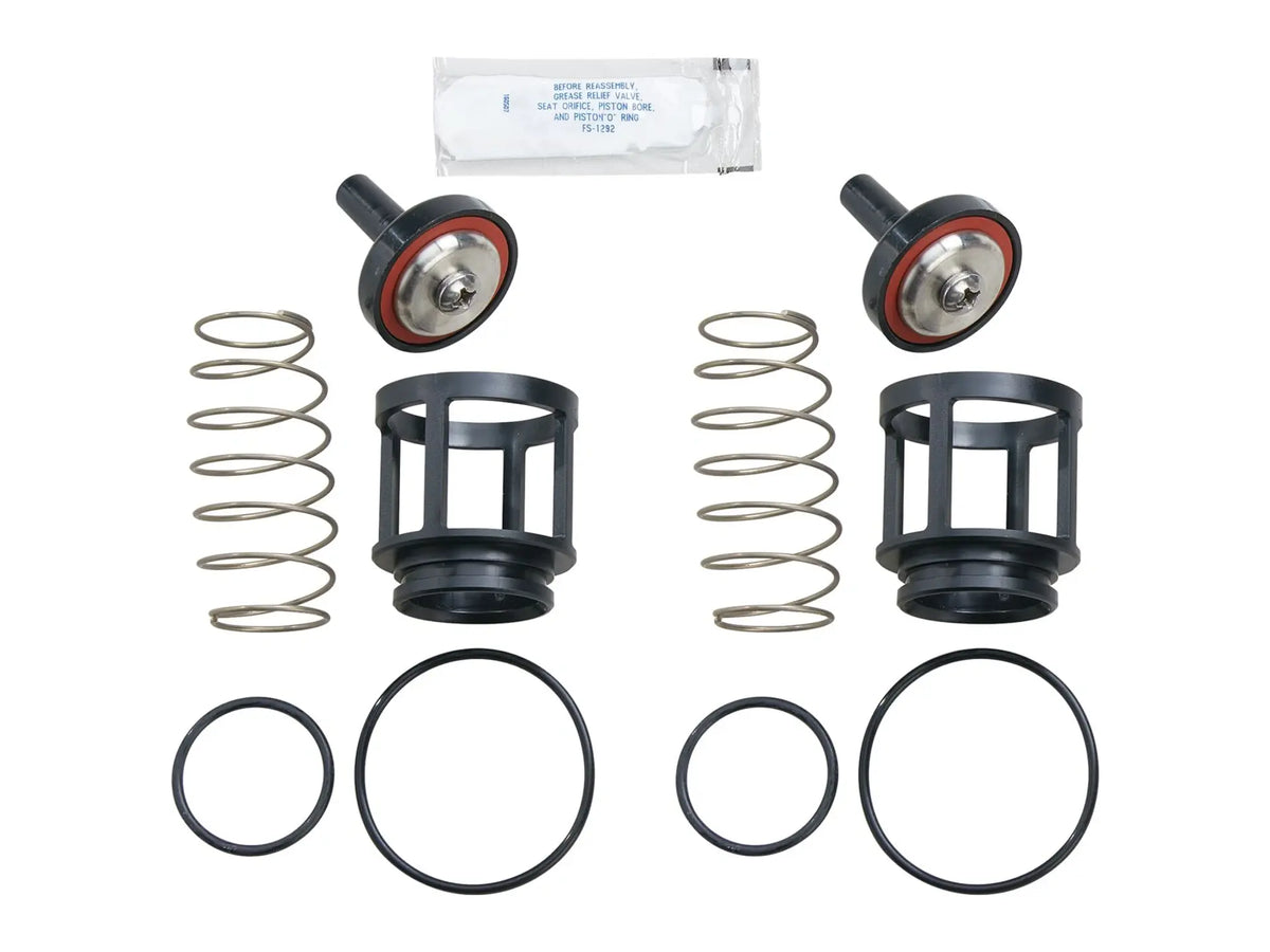 Watts 0889085, RK 1 Repair Kit