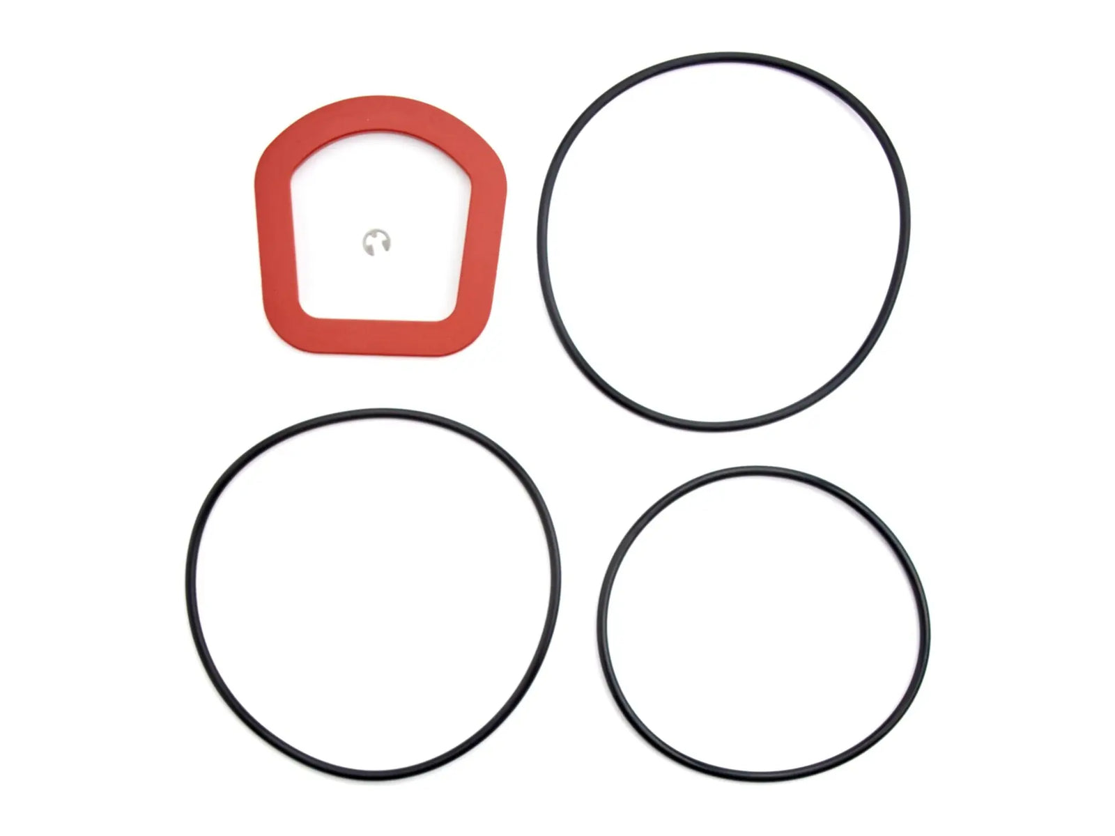 Watts 0899203, RK 757/757DCDA-RC4 Repair Kit