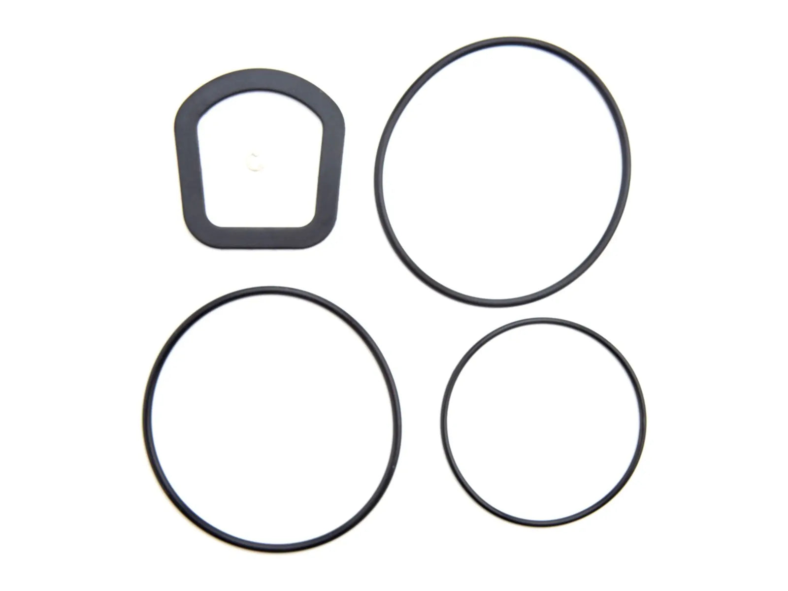 Watts 0899220, RK957/957RPDA-RC4 Valve Kit 2.5-4"