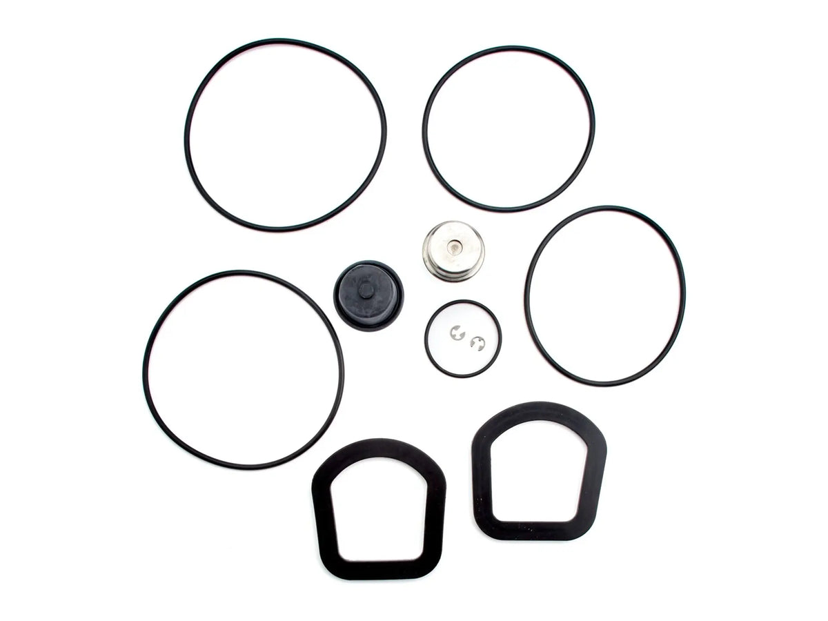 Watts 0899245, RK 957/957RPDA-RT 6 Repair Kit