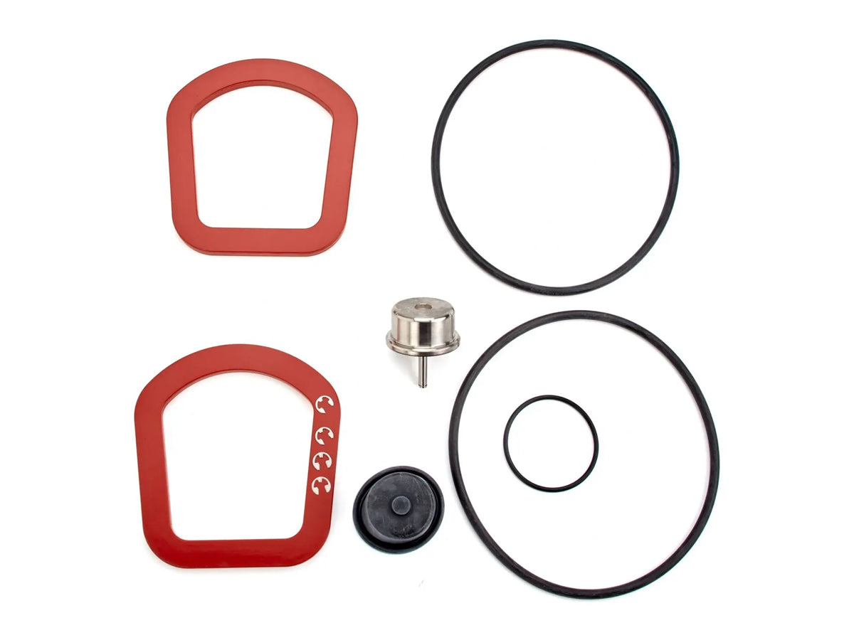Watts 0899246, RK 957/957RPDA-RT 8 Repair Kit