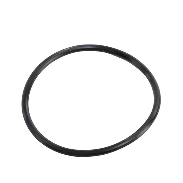 Watts 1101931, Gasket Replacement Part