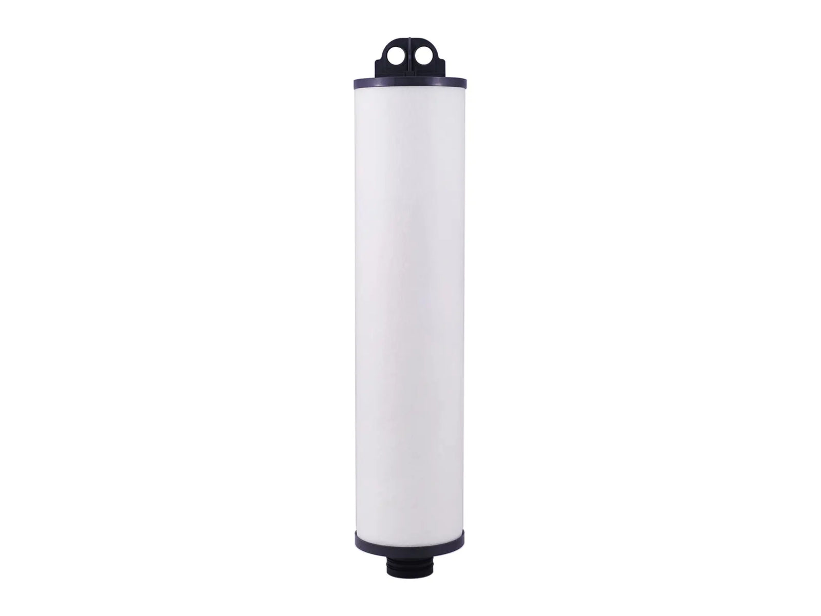 Watts 7100308, PWWJCMB1 Water Filter