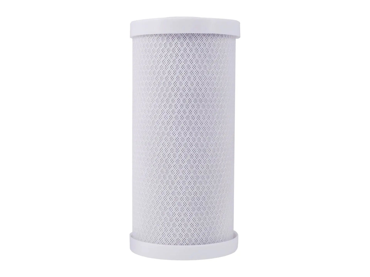 Watts 7100448, PWCB10FFP Lead Free Filter