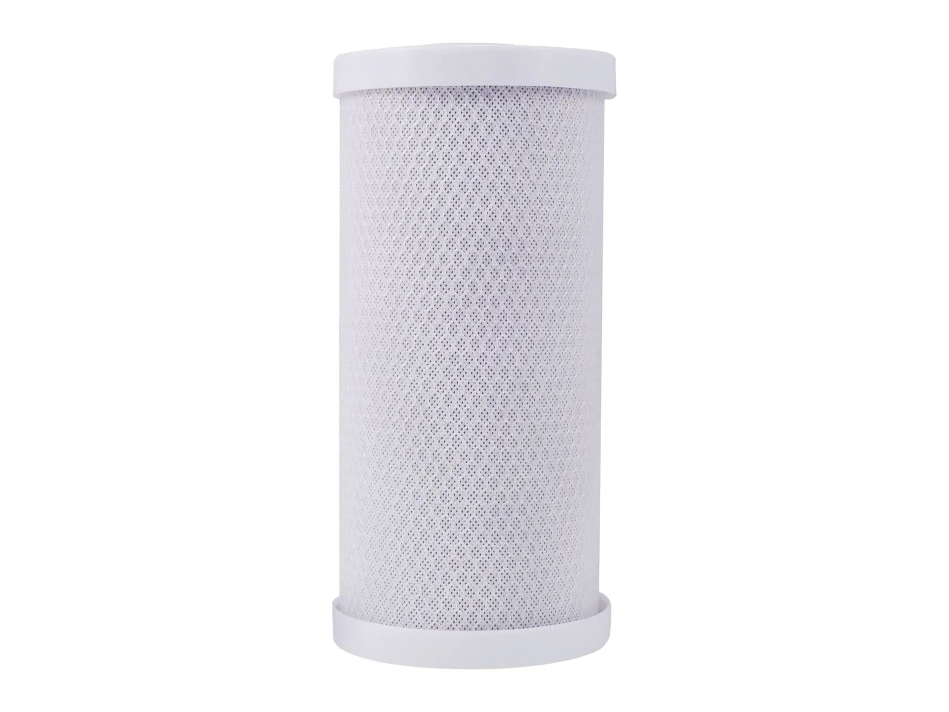 Watts 7100448, PWCB10FFP Lead Free Filter