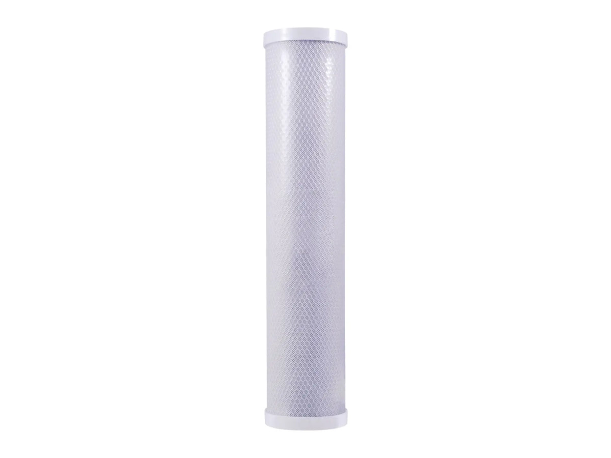 Watts 7100449, PWCB20FFP Filter