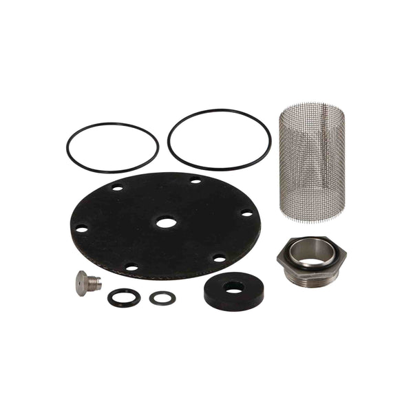 Watts 0864945, Repair Kit 1.5" for 25AUB-RK