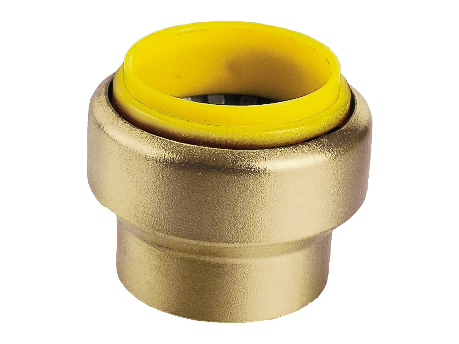 Webstone 1" Pro-Connect Push End Cap H-26604W