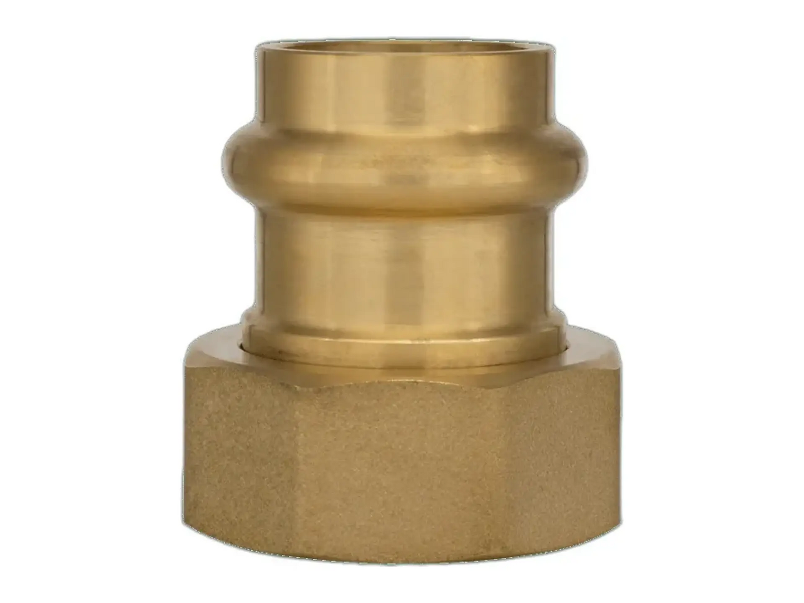 Webstone H-7-8177W WP, PRS-7-X10W 2 Forged DZR Brass Fitting