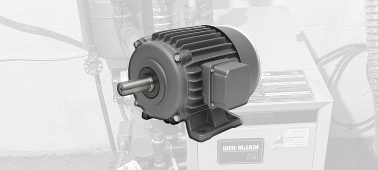 weil-mclain-ac-motors.webp