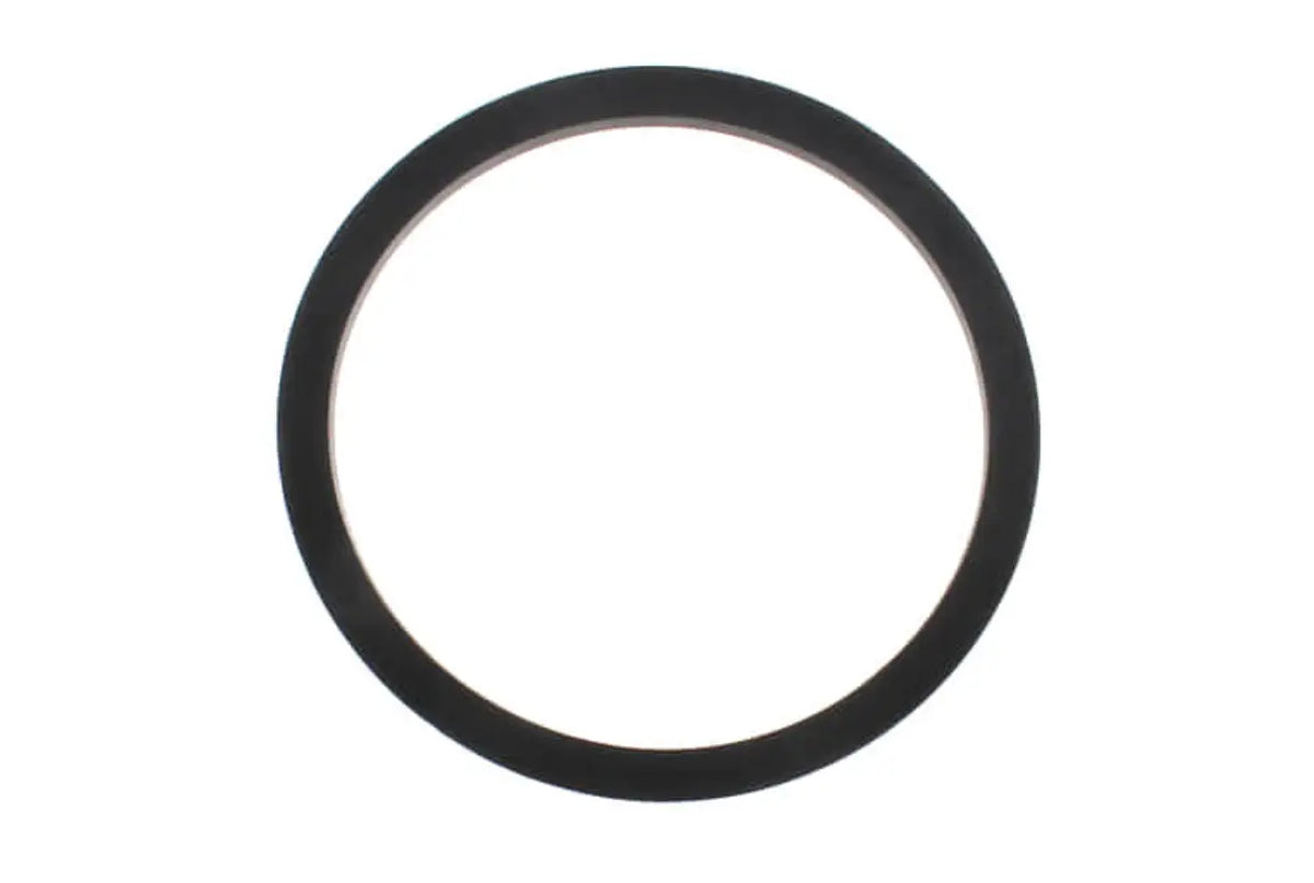 Weil-McLain 590-317-543, Gasket