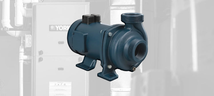 york-pumps.webp