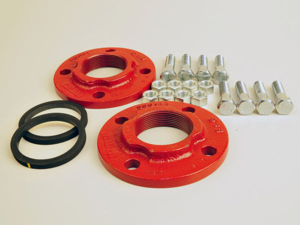 Bell & Gossett 3" Cast Iron Flange Set 101217