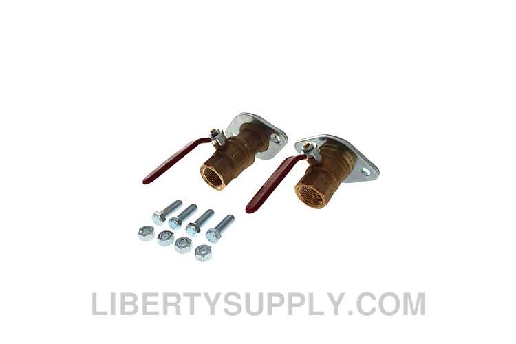 Bell & Gossett CTF 1" NPT Isolation & Check-Trol Valve 101232LF