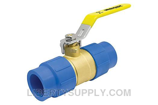 Webstone RCT-10170W 1-1/2" x 1-1/2" Female PP-RCT Metric Socket PP-RCT Ball Valve H-101706W