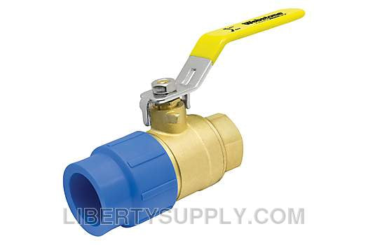 Webstone RCT-10470W 1-1/2" x 1-1/2" Female PP-RCT Metric Socket x FIP PP-RCT Ball Valve H-104706W