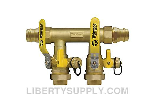 Webstone 1-1/4" Press x 1" FIP Double Ball Drain Manifold Kit H-88354-44